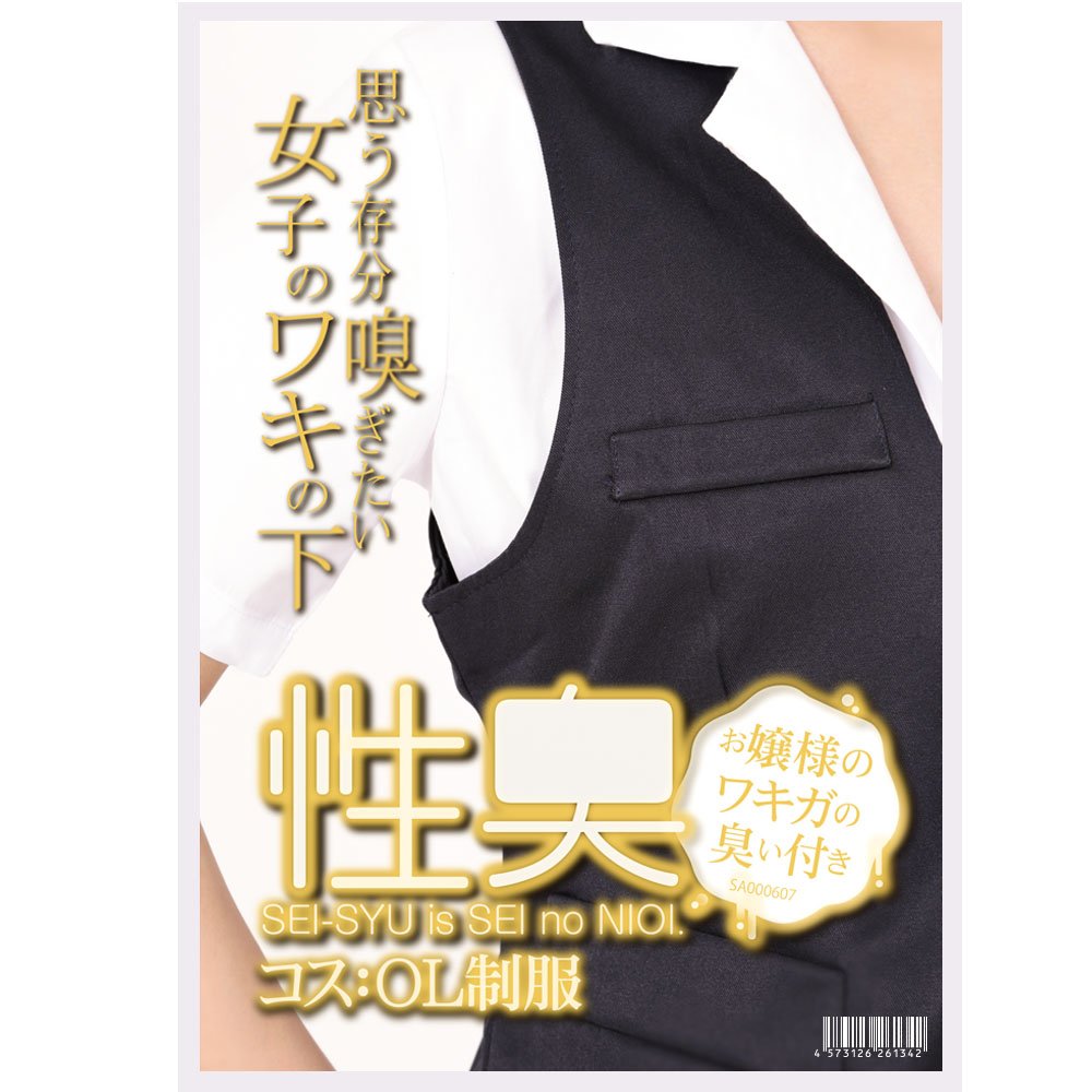 非売品】ミホノブルボン ポスター 競馬 ヒーロー列伝 ウマ娘